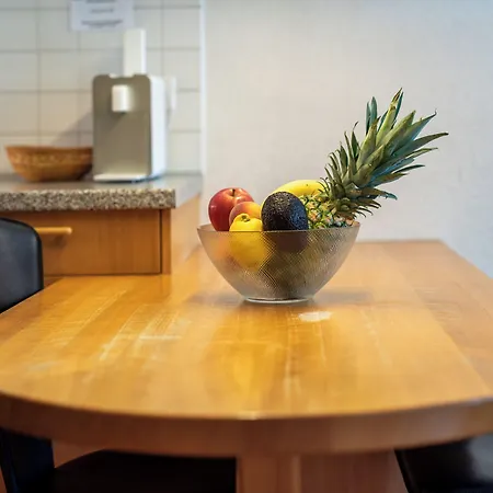 Haus Baergbach By Premium Apartmán Zermatt