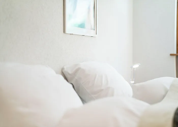 Apartment Haus Baergbach By Premium